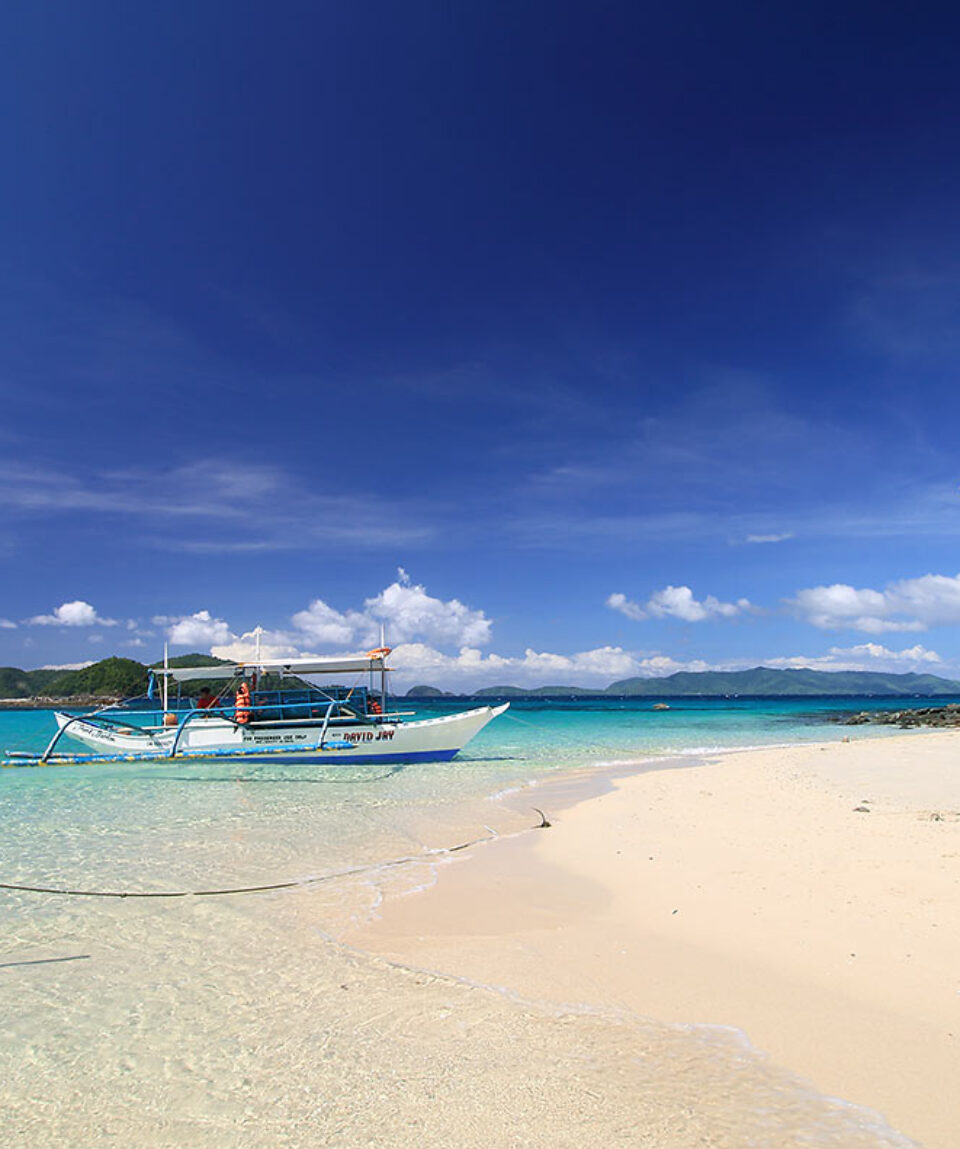 paradise